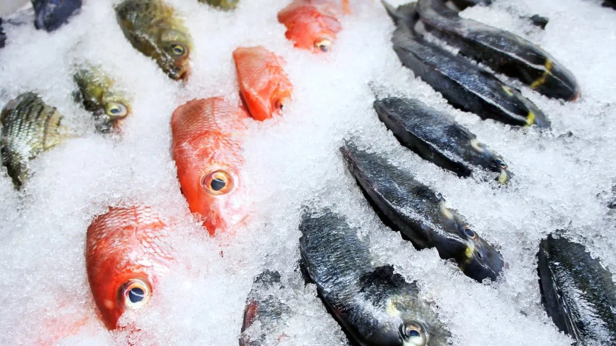 Pescados y mariscos congelados: calidad y frescura, la mejor forma de consumir productos del mar