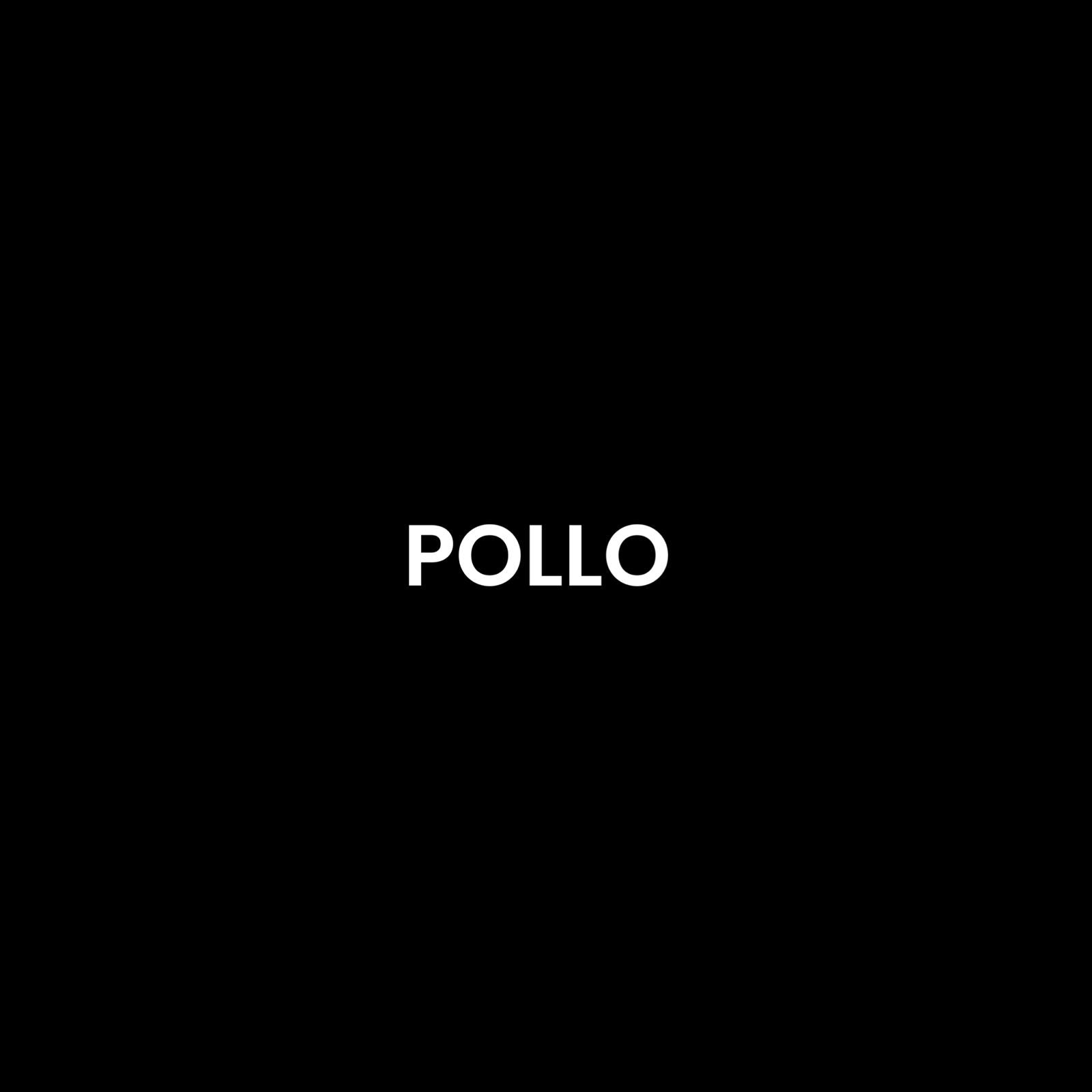 Pollo