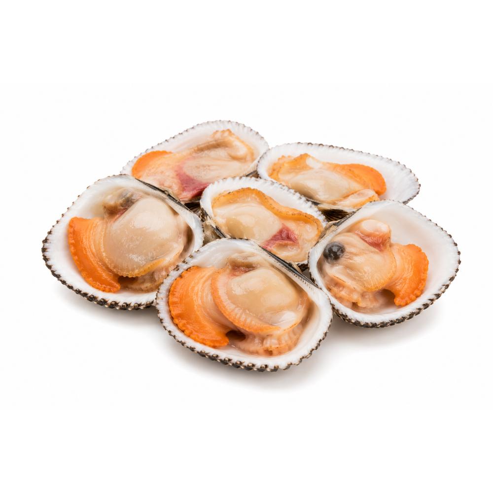 Concha 1/2 Valva Mediana 500 Gr | Mar Gourmet