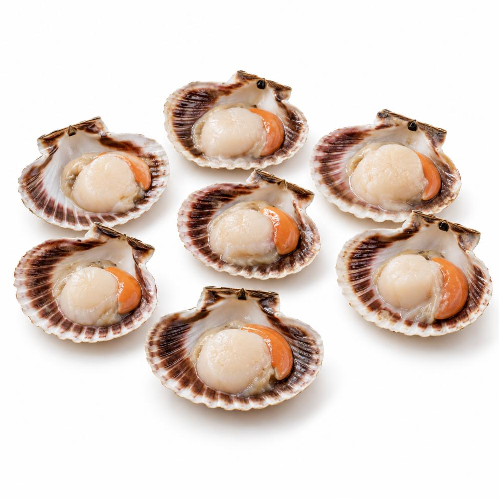 Concha 1/2 Valva Mediana 300 GR. 6 UN. | Mar Gourmet - iceQori