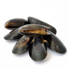Mejillon entero Seagood