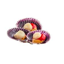 Concha 1/2 valva mediana 500gr Mar Gourmet