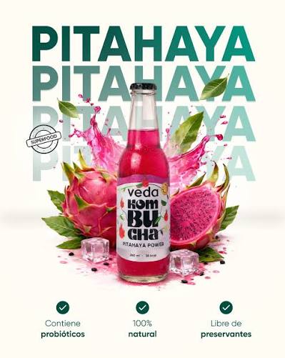 Kombucha PITAHAYA POWER 260ml VEDA - iceQori